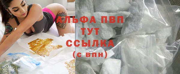 хмурый Аркадак