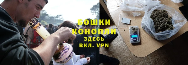 хмурый Аркадак