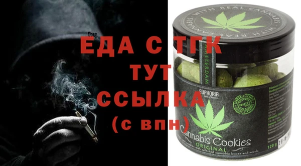хмурый Аркадак