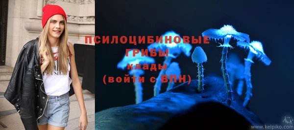 герыч Арсеньев