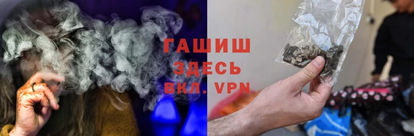 хмурый Аркадак