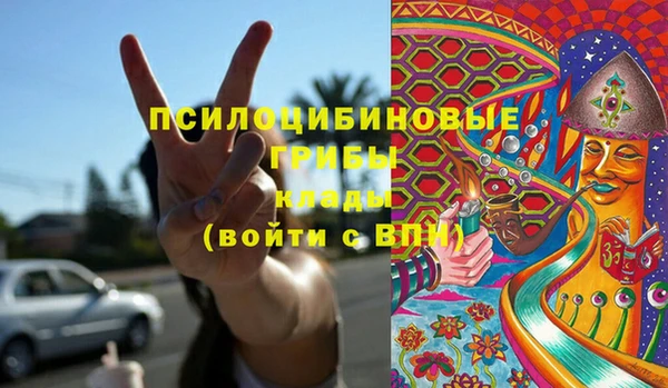 хмурый Аркадак