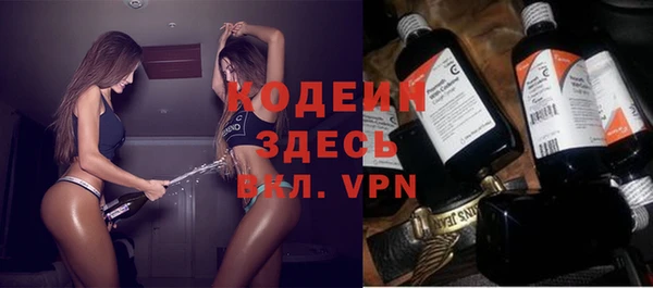 хмурый Аркадак