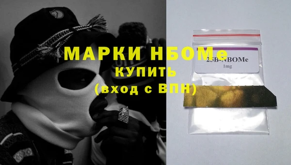 хмурый Аркадак