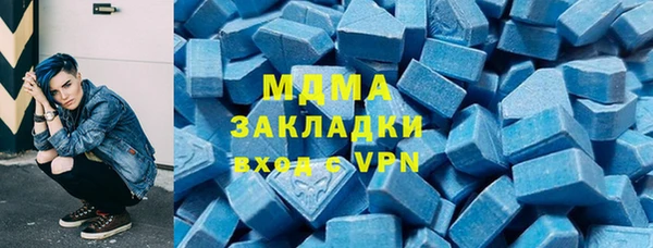 хмурый Аркадак