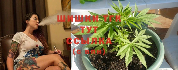 винт Белокуриха