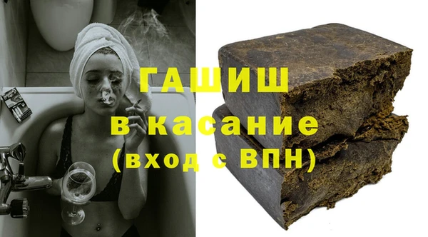 хмурый Аркадак