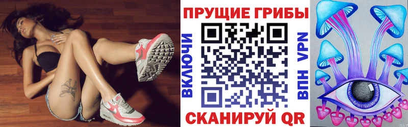 Псилоцибиновые грибы MAGIC MUSHROOMS  закладки  Ленинск 